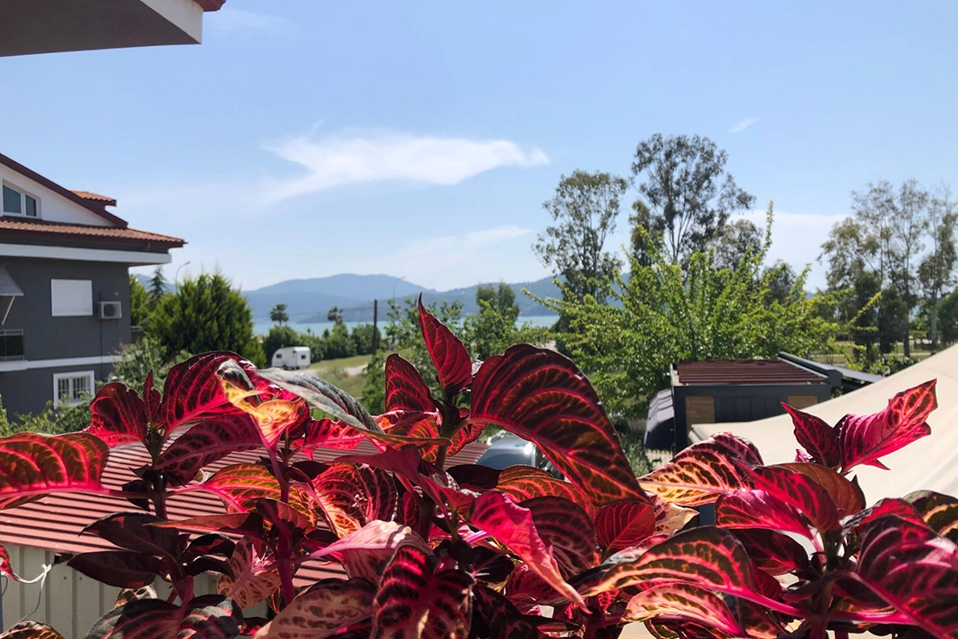 Fethiye Hipokampus'ta kat 2'deki kafe balkonunda deniz manzarasıyla sanal ofis keyfi!